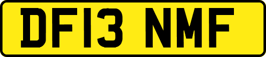 DF13NMF