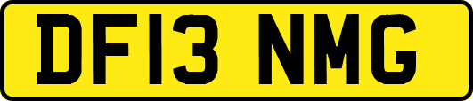 DF13NMG