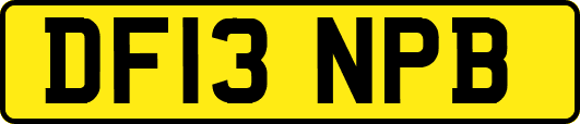 DF13NPB