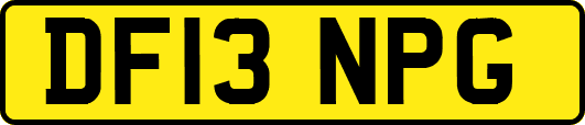 DF13NPG