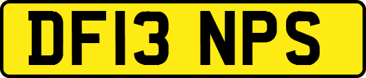DF13NPS