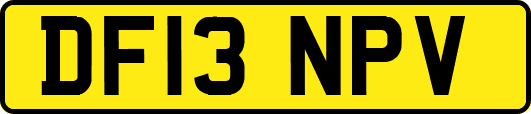 DF13NPV