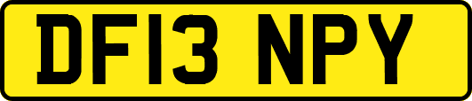 DF13NPY
