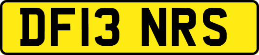 DF13NRS