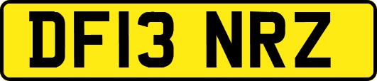 DF13NRZ