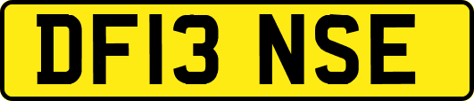 DF13NSE