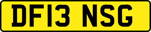 DF13NSG