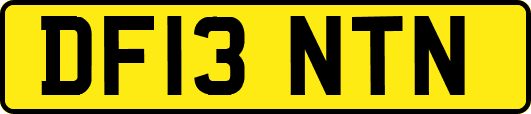 DF13NTN