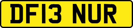 DF13NUR