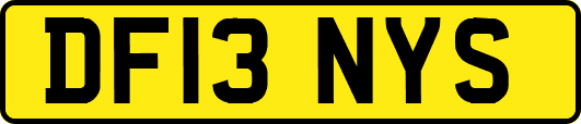 DF13NYS