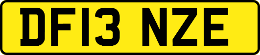 DF13NZE