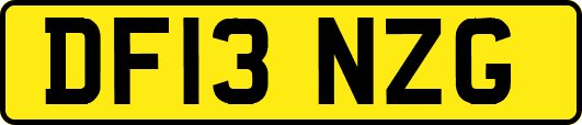 DF13NZG