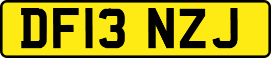 DF13NZJ