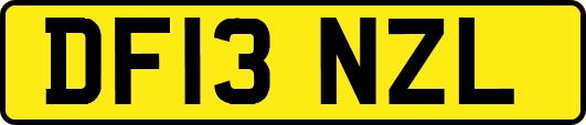 DF13NZL