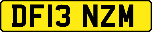 DF13NZM