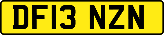 DF13NZN