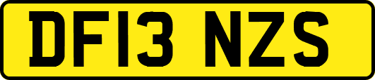 DF13NZS
