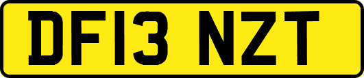 DF13NZT