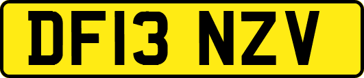 DF13NZV