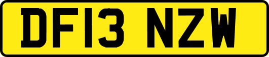 DF13NZW