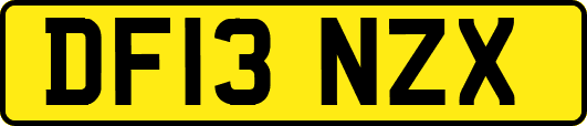 DF13NZX