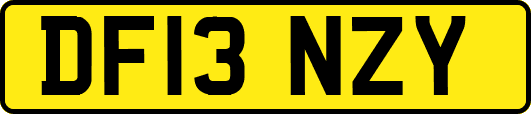 DF13NZY