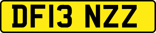DF13NZZ