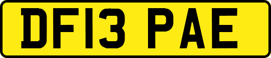 DF13PAE