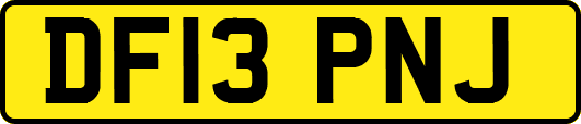 DF13PNJ