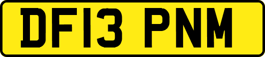 DF13PNM