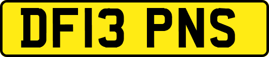 DF13PNS
