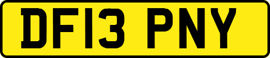 DF13PNY
