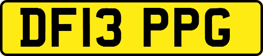 DF13PPG