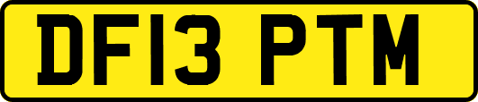 DF13PTM