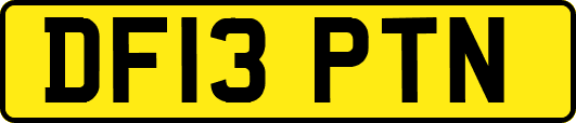 DF13PTN