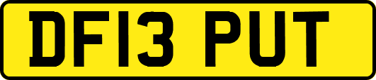 DF13PUT