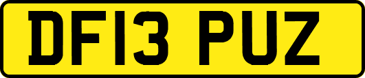 DF13PUZ