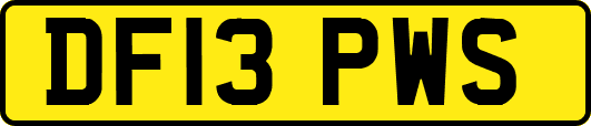 DF13PWS