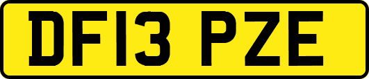 DF13PZE