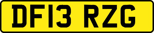 DF13RZG