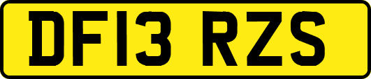 DF13RZS