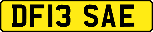 DF13SAE