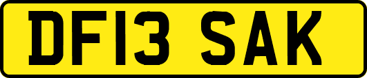 DF13SAK
