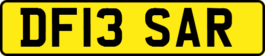 DF13SAR