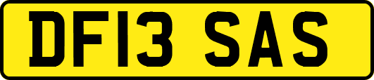 DF13SAS
