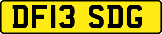 DF13SDG