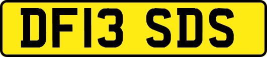 DF13SDS