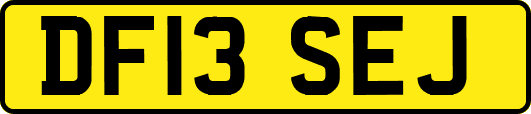 DF13SEJ