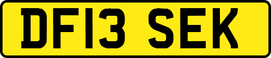 DF13SEK