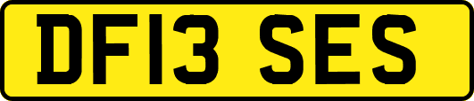 DF13SES